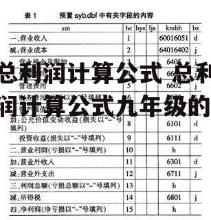 总利润计算公式 总利润计算公式九年级的