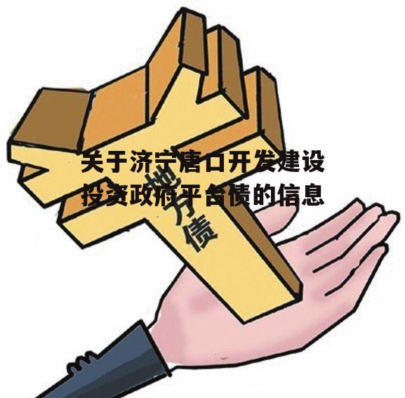 关于济宁唐口开发建设投资政府平台债的信息