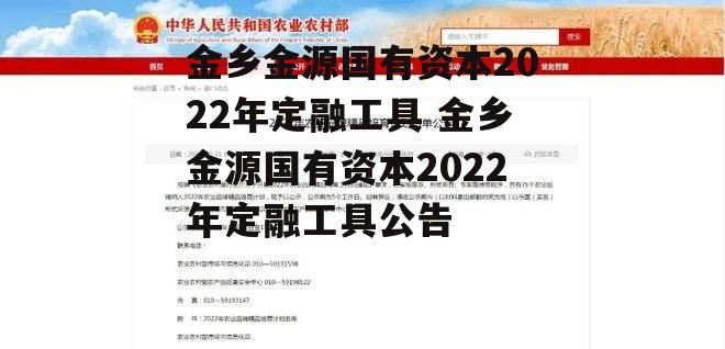 金乡金源国有资本2022年定融工具 金乡金源国有资本2022年定融工具公告