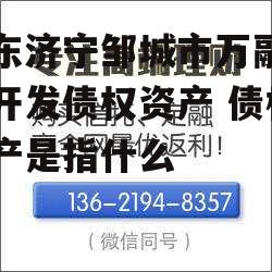 山东济宁邹城市万融实业开发债权资产 债权资产是指什么