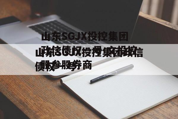 山东SGJX投控集团政信债权一号 文投控股参股券商