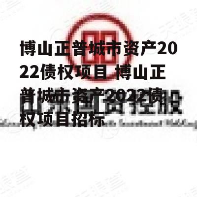 博山正普城市资产2022债权项目 博山正普城市资产2022债权项目招标