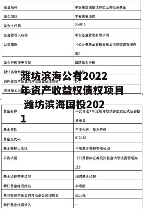 潍坊滨海公有2022年资产收益权债权项目 潍坊滨海国投2021