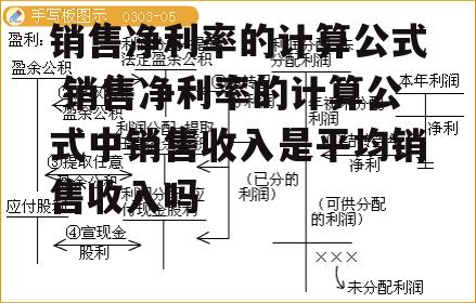 销售净利率的计算公式 销售净利率的计算公式中销售收入是平均销售收入吗