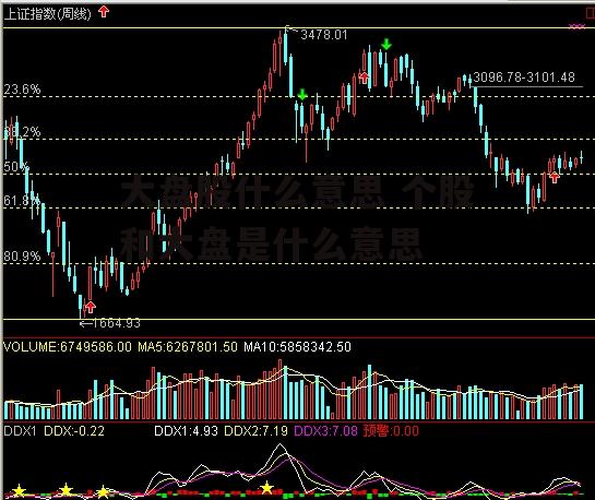 大盘股什么意思 个股和大盘是什么意思