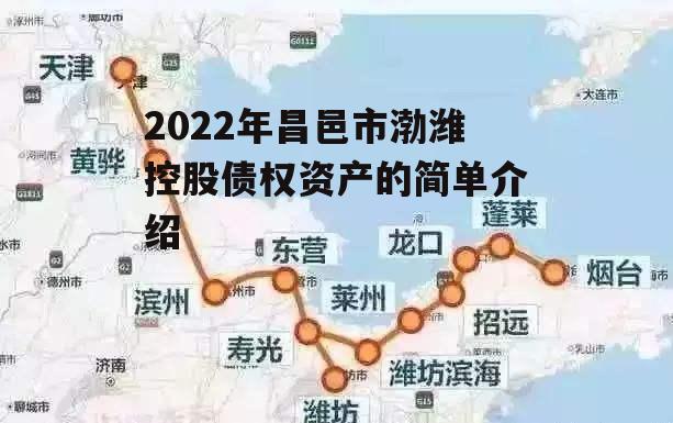 2022年昌邑市渤潍控股债权资产的简单介绍