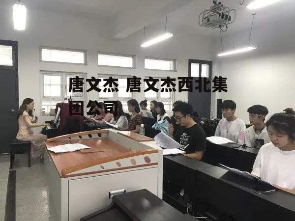 唐文杰 唐文杰西北集团公司