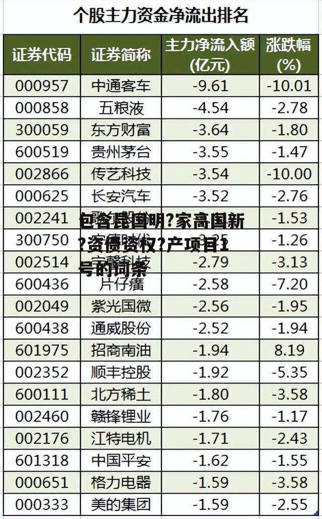 包含昆国明?家高国新?资债资权?产项目1号的词条