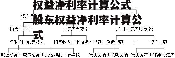 权益净利率计算公式 股东权益净利率计算公式