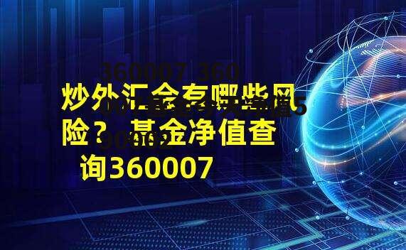 360007 360007基金今天净值590002