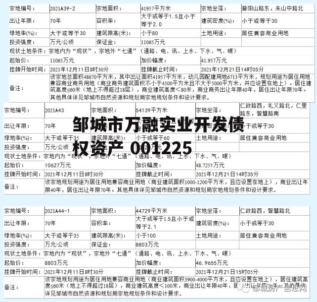 邹城市万融实业开发债权资产 001225