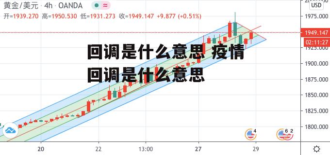 回调是什么意思 疫情回调是什么意思