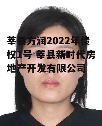 莘县方润2022年债权1号 莘县新时代房地产开发有限公司