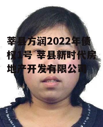 莘县方润2022年债权1号 莘县新时代房地产开发有限公司