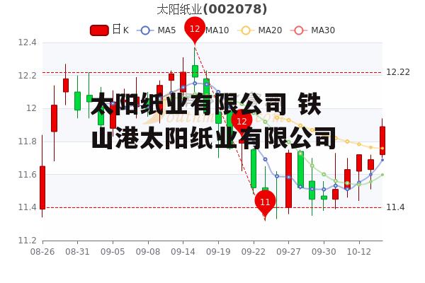 太阳纸业有限公司 铁山港太阳纸业有限公司