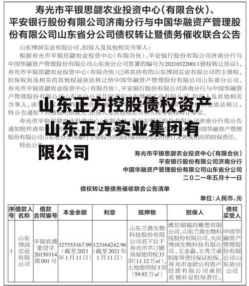 山东正方控股债权资产 山东正方实业集团有限公司