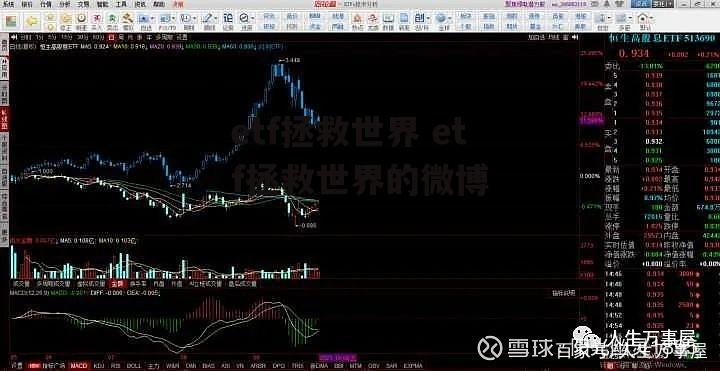 etf拯救世界 etf拯救世界的微博