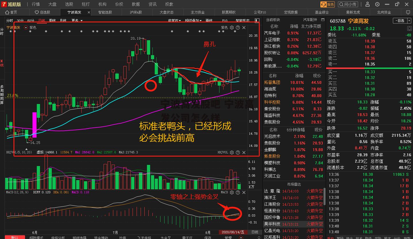 宁波高发股吧 宁波高发公司怎么样