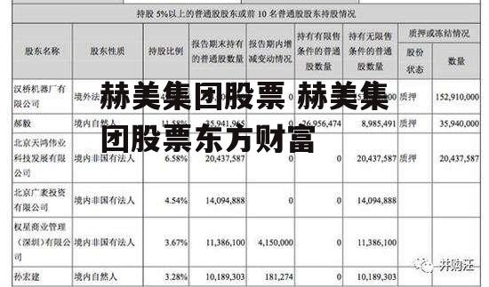 赫美集团股票 赫美集团股票东方财富