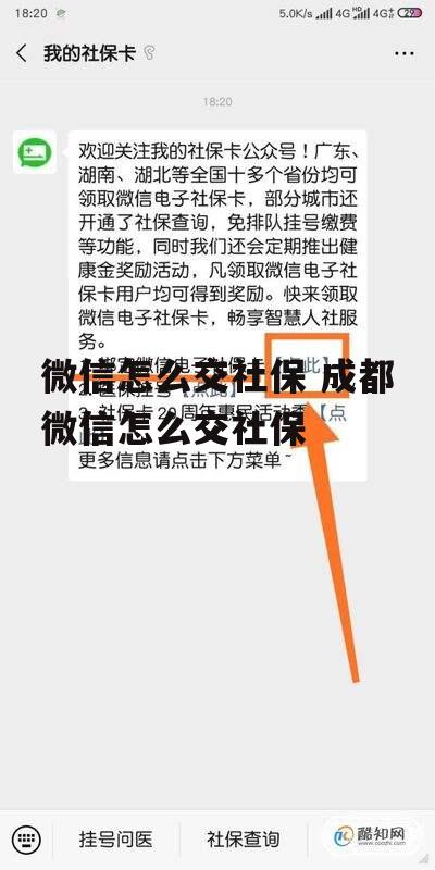 微信怎么交社保 成都微信怎么交社保