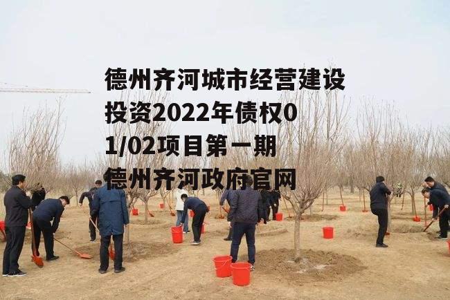 德州齐河城市经营建设投资2022年债权01/02项目第一期 德州齐河政府官网