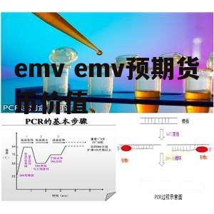 emv emv预期货币价值