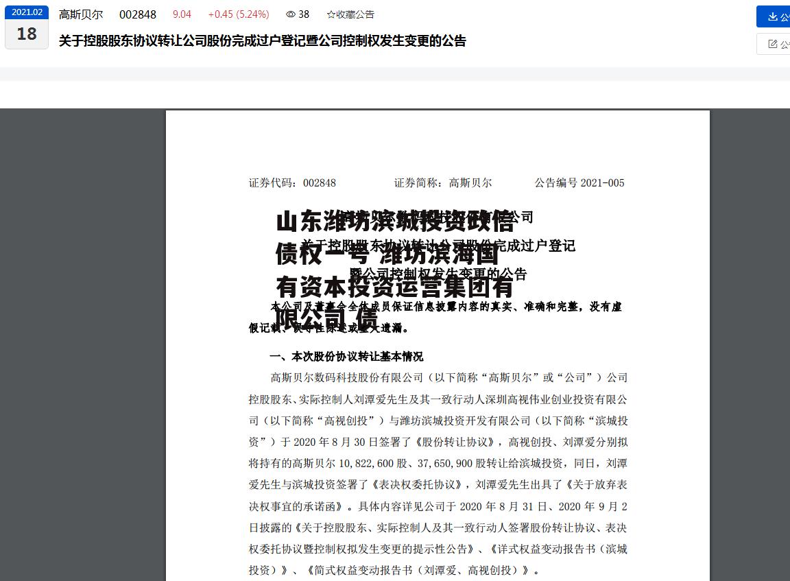 山东潍坊滨城投资政信债权一号 潍坊滨海国有资本投资运营集团有限公司 债