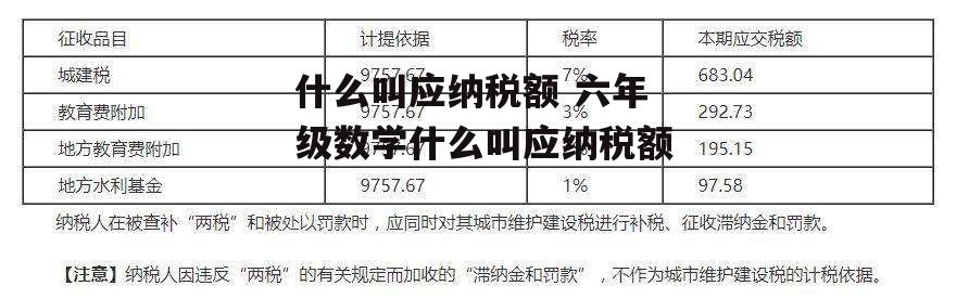 什么叫应纳税额 六年级数学什么叫应纳税额