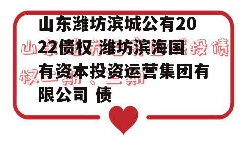 山东潍坊滨城公有2022债权 潍坊滨海国有资本投资运营集团有限公司 债