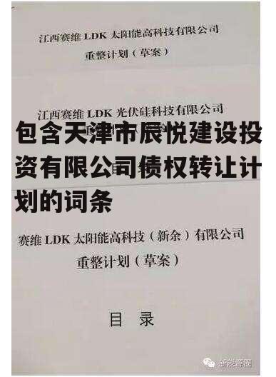 包含天津市辰悦建设投资有限公司债权转让计划的词条