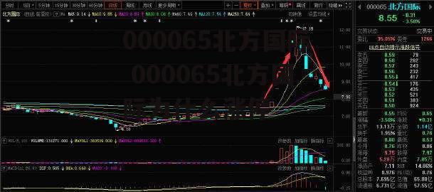 000065北方国际 000065北方国际为什么涨停