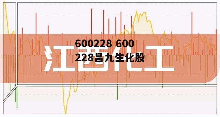 600228 600228昌九生化股