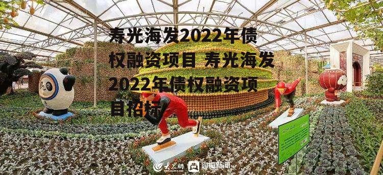 寿光海发2022年债权融资项目 寿光海发2022年债权融资项目招标