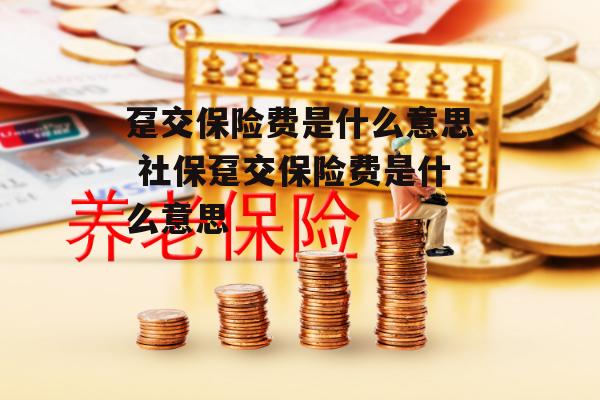 趸交保险费是什么意思 社保趸交保险费是什么意思