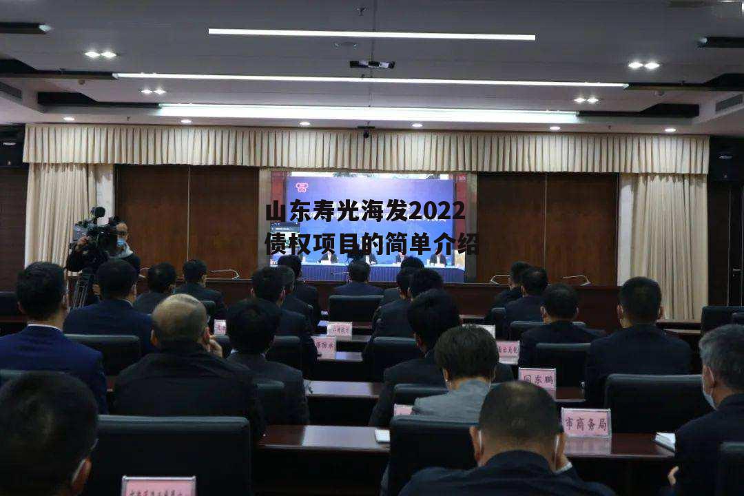 山东寿光海发2022债权项目的简单介绍