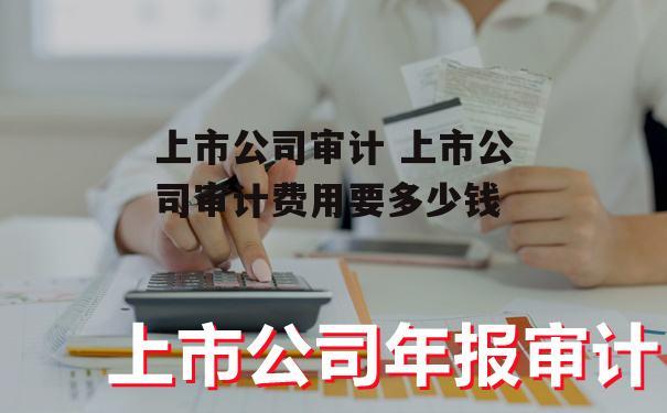 上市公司审计 上市公司审计费用要多少钱