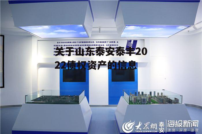 关于山东泰安泰丰2022债权资产的信息