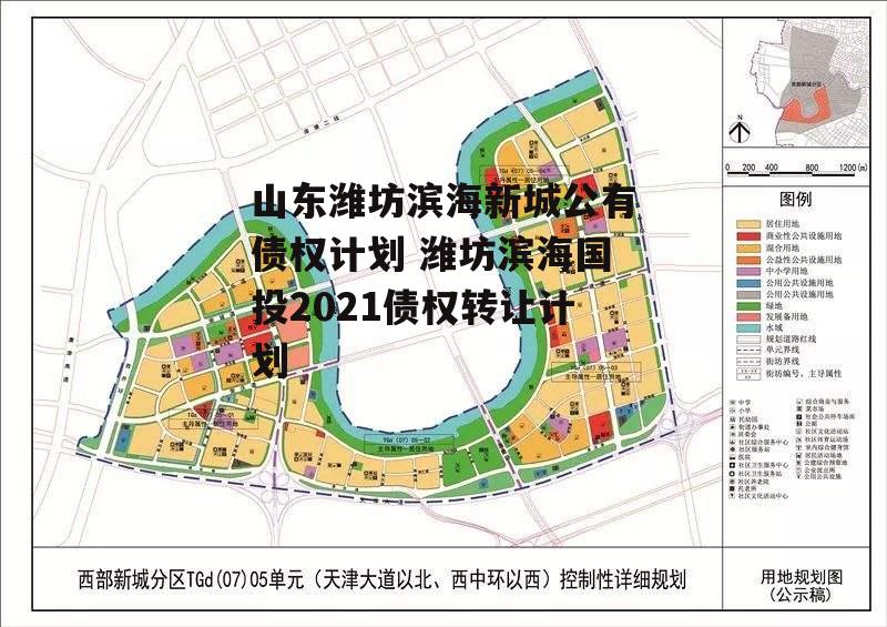 山东潍坊滨海新城公有债权计划 潍坊滨海国投2021债权转让计划