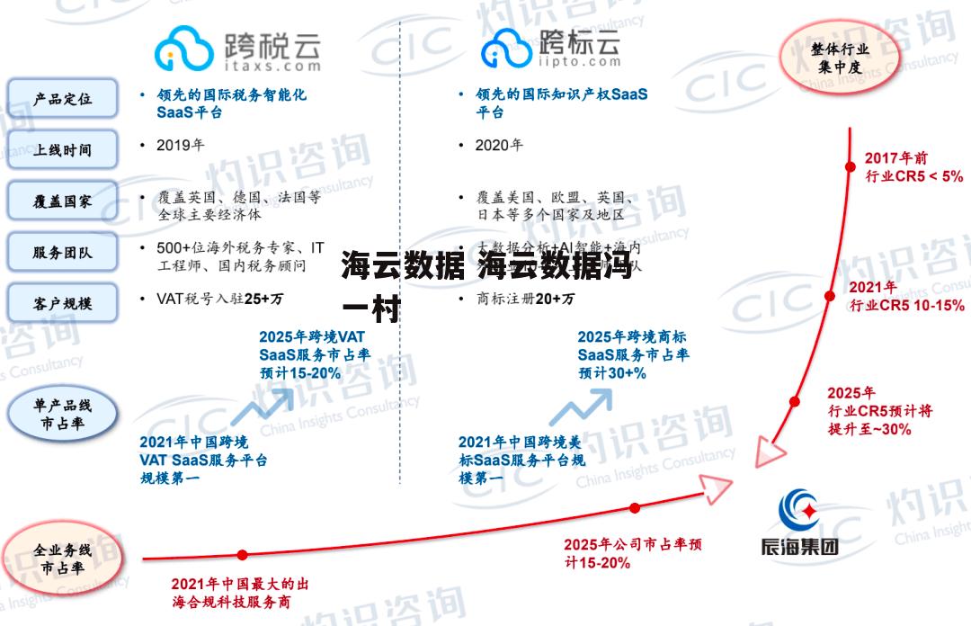 海云数据 海云数据冯一村