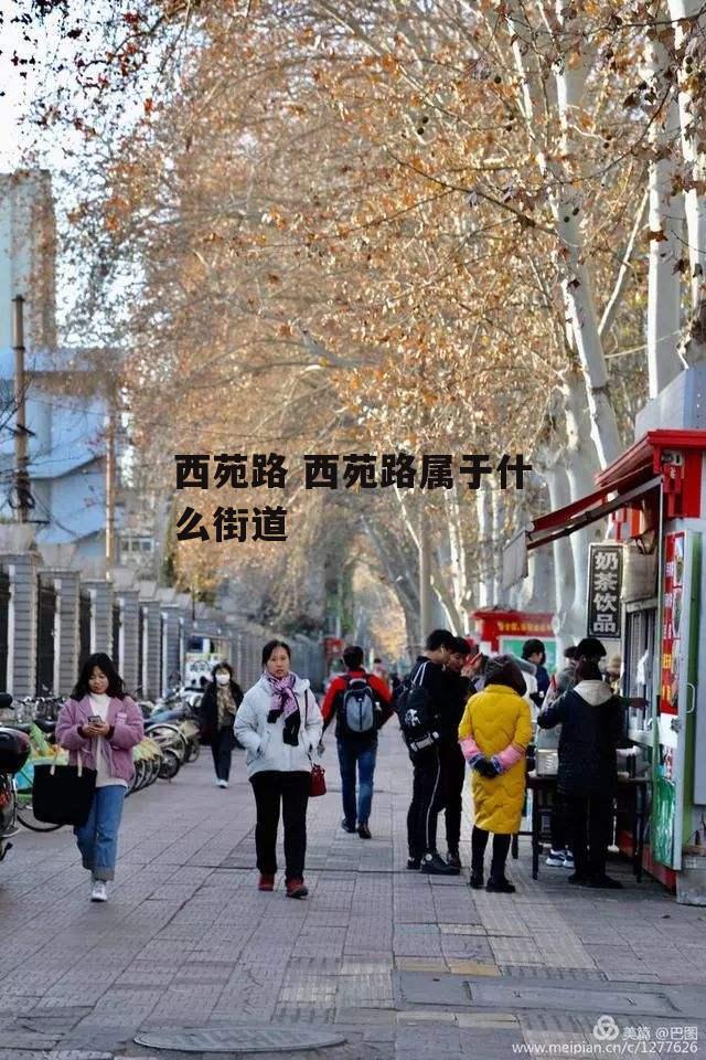 西苑路 西苑路属于什么街道