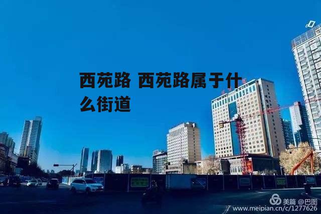 西苑路 西苑路属于什么街道