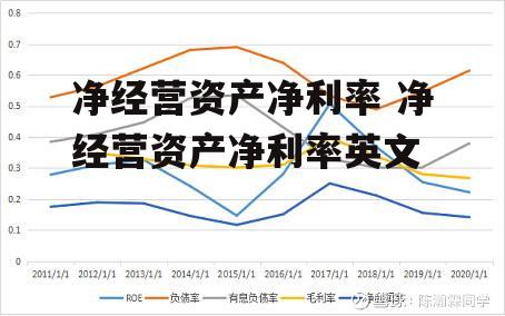 净经营资产净利率 净经营资产净利率英文