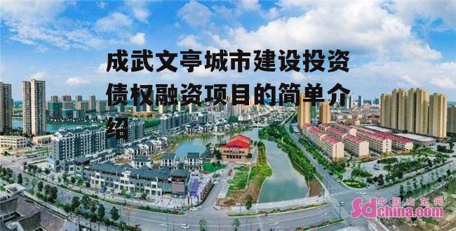 成武文亭城市建设投资债权融资项目的简单介绍