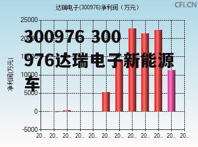 300976 300976达瑞电子新能源车