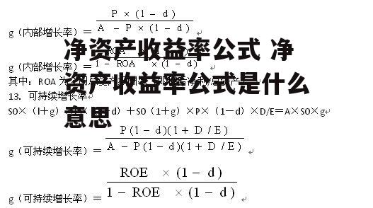 净资产收益率公式 净资产收益率公式是什么意思