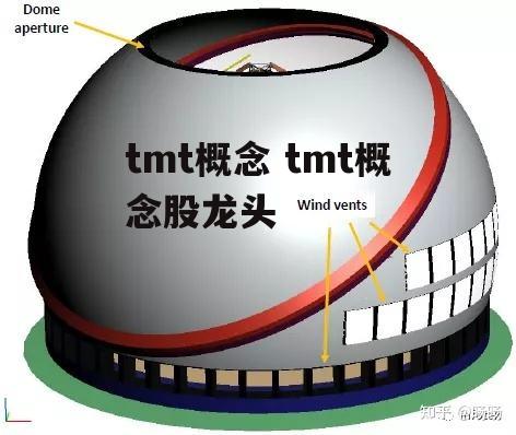 tmt概念 tmt概念股龙头