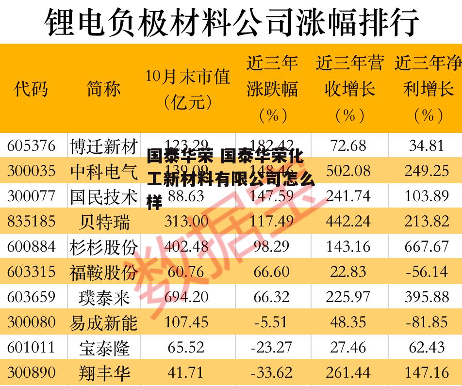 国泰华荣 国泰华荣化工新材料有限公司怎么样