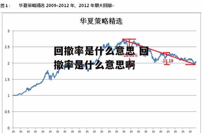 回撤率是什么意思 回撤率是什么意思啊