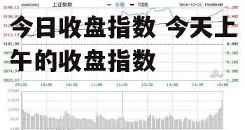 今日收盘指数 今天上午的收盘指数