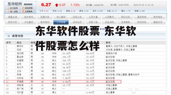 东华软件股票 东华软件股票怎么样